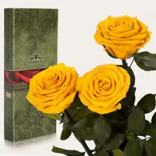 Три долгосвежих розы в Florich СОЛНЕЧНЫЙ ЦИТРИН (5 карат на коротком стебле)