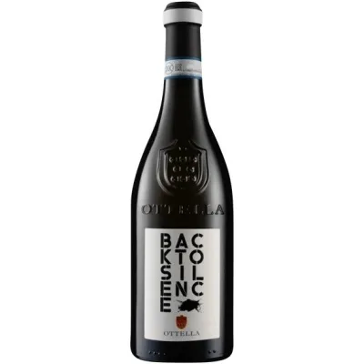 Вино Back to silence Lugana DOC 0,75 л білий. сухий. 13,5% (Італія, ТМ Ottella)