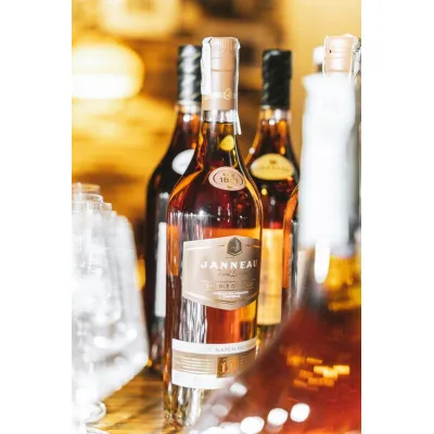 Арманіяк Millesimato 2013 Janneau 0,7л 43% дер. кор.