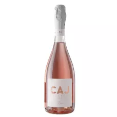 Вино ігристе Prosecco Millesimato DOC 0,75л роз.брют11,5%кор.