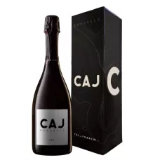 Вино ігристе Prosecco Sup. Millesimato DOCG 1,5л бел.брют 11% кор. (Італія, Вальдоб'ядене, TM Caj)