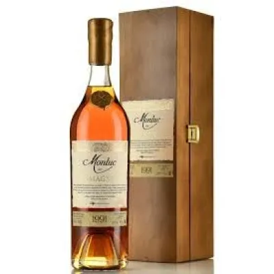Арманіяк Monluc 1991 Vintage 0,7л 40% дер. кор. (Франція, Арманіяк, TM Monluc)