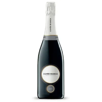 Вино ігристе Franciacorta DOCG Brut 0,75л білий брют 12% кор
