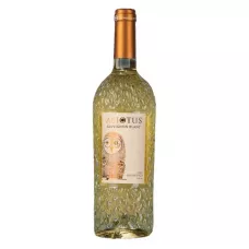 Вино Sauvignon Blanc Varietale Premium бел.сух 0,75л 12% (Італія, П'ємонт, ТМ Asio Otus)