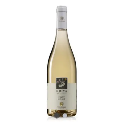 Вино Pinot Grigio BIOTerre D'Abruzzo 2024 біл. сухий. 0,75л. 12,5%
