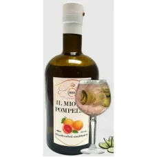 Джин Mio Gin Al Pompelmo 0,5л 42,3% ( Італія , TM Mio Gin) Джин Mio Gin Al Pompelmo 0,5л 42,3% ( Італія , TM Mio Gin)