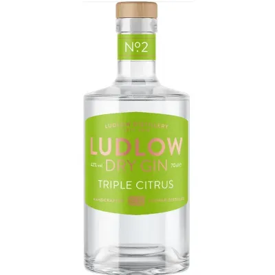 Джин Trilogin Citrus London Dry 0,7л 45%