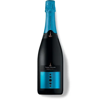 Вино ігристе Franciacorta Millesimato 0,75л білеэк/брют12,5% (Італія, Ломбардия, TM Terre D'Aenor)