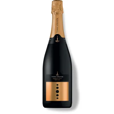 Вино ігристе Franciacorta Demi Sec 0,75л білеп/сух.12,5% кор (Італія, Ломбардия, TM Terre D'Aenor)