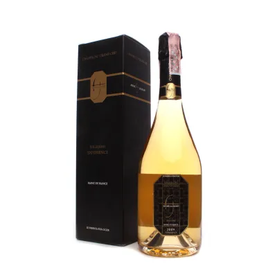 Шампанське Andre Jacquart GC MlsmBlnDBln2009Exprnc 0,75л у коробці (Франція, ТМ Andre Jacquart)